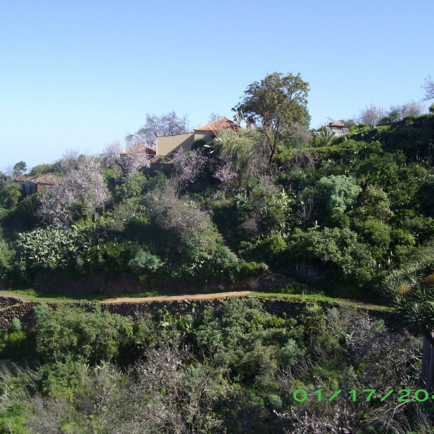 Hügelige Landschaft mit üppiger grüner Vegetation, Bäumen und Büschen. Ein schmaler Weg schlängelt sich durch das Grün. Im Hintergrund sind einige Gebäude zu erkennen. Der Himmel ist klar und blau.